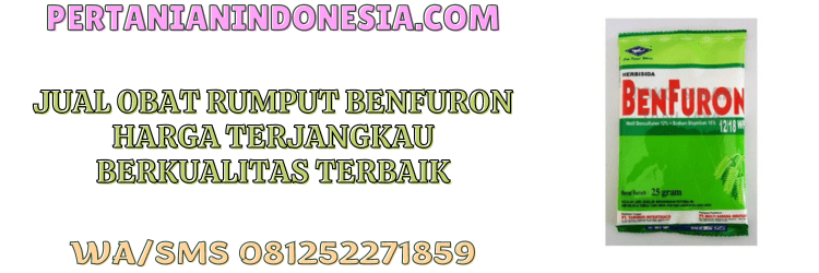 jual,murah,terjangkau,toko pertanian terdekat,pertanian indonesia